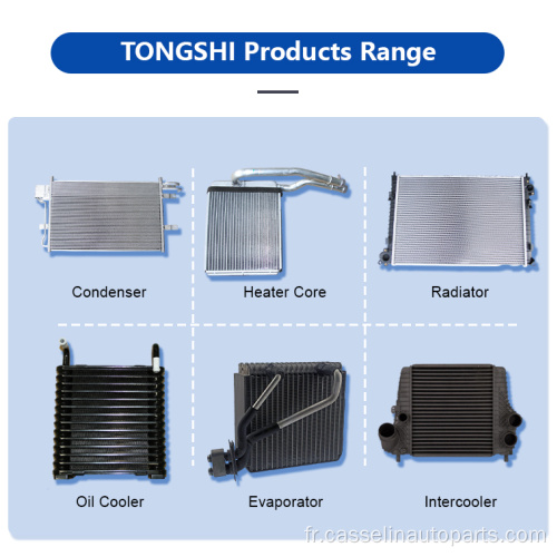 Radiateur de pièces automobiles à chaud pour VW Polo